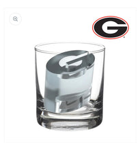 Load image into Gallery viewer, Team Ice Mold