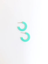 Load image into Gallery viewer, Small Acrylic Hoop Earrings