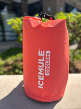 Load image into Gallery viewer, ICEMULE Classic Medium Cooler