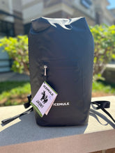Load image into Gallery viewer, ICEMULE Jaunt (15L) Cooler